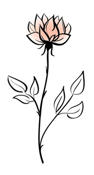 美麗的花
