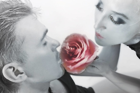 男人和女人嗅花粉紅玫瑰