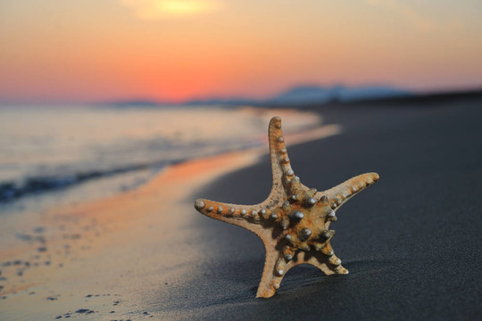 海灘上的夏日沙灘