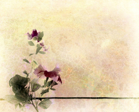 花卉藝術(shù)質(zhì)感背景