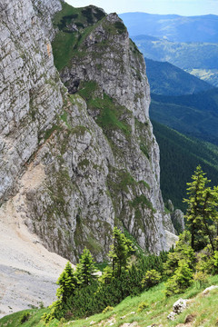 山坡