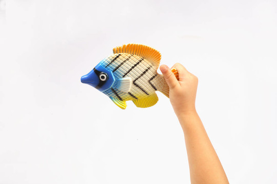 抱小孩的魚