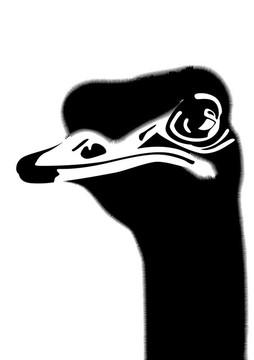 鴕鳥頭