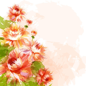 背景與菊花
