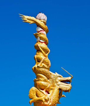 龍金與天藍(lán)