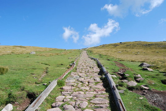 山地景觀