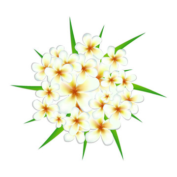 背景與花
