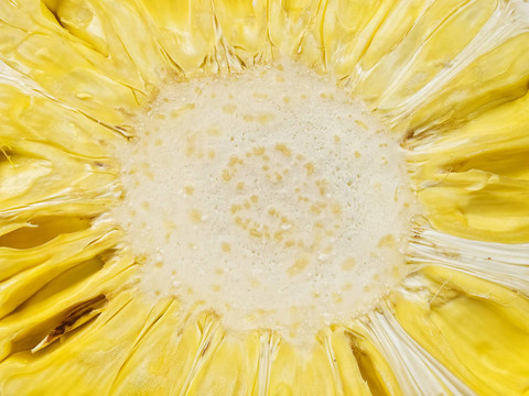 菠蘿蜜