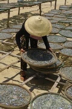 女人在竹籃上曬魚