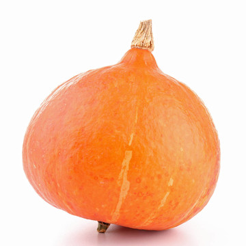 孤立的pumkpin