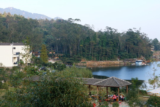 旗山森林度假村