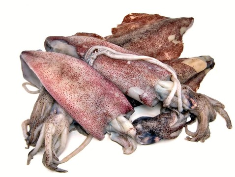 生魷魚組