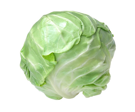 白色卷心菜