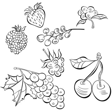 素描的水果
