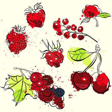 水果水果插畫