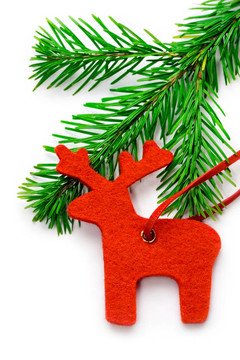 raindeer冷杉孤立在白色
