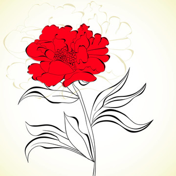 紅色的花
