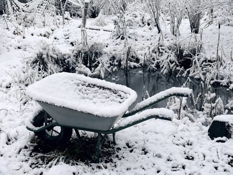 花園的手推車。冬天。