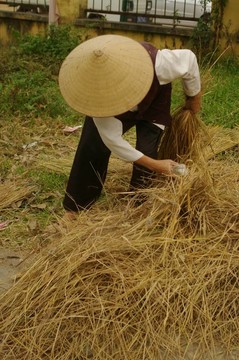 婦女排序稻草鏈接