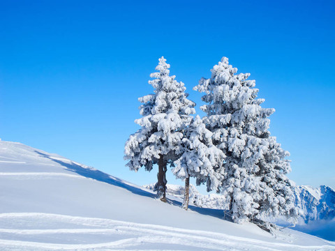 滑雪坡