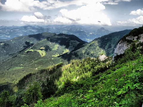 山