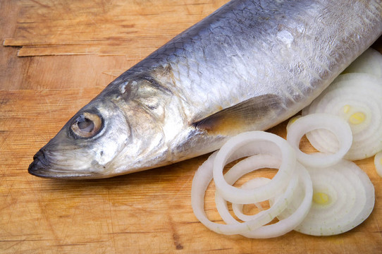 鯡魚和洋蔥