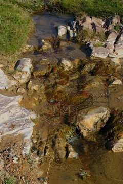 creekbed 4399