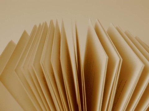 一本書的書頁
