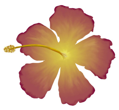 芙蓉我
