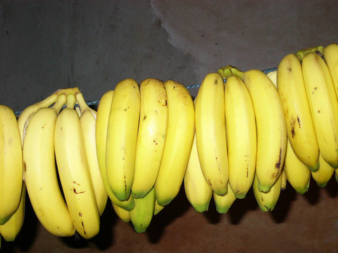 bananastring