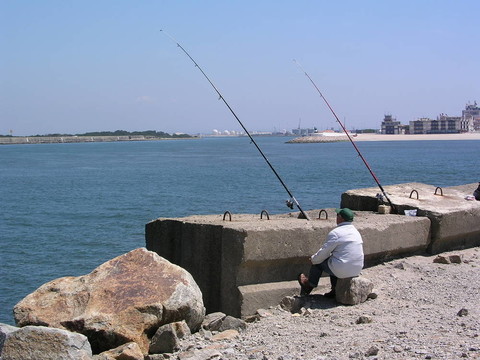 葡萄牙fisher1