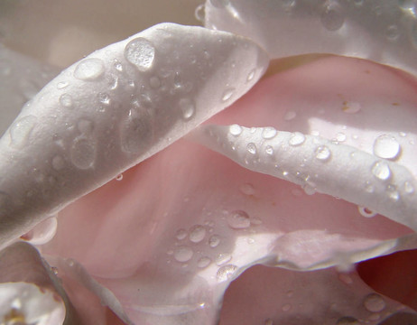 雨后