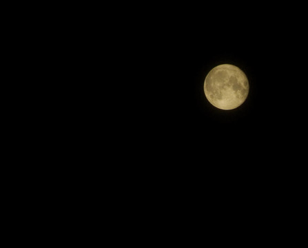 全Moon