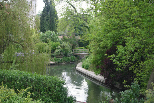 秘密花園