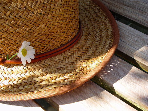 gardensummer