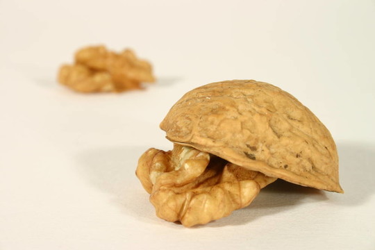 核桃