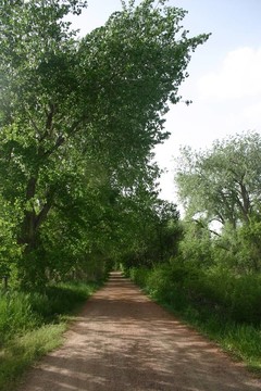 河濱步道