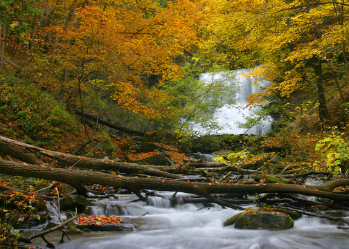 較低的Decew Falls
