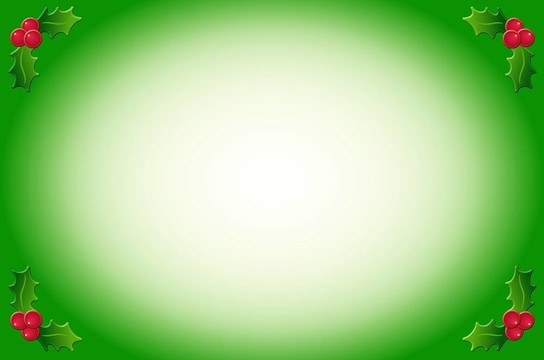 霍莉邊境