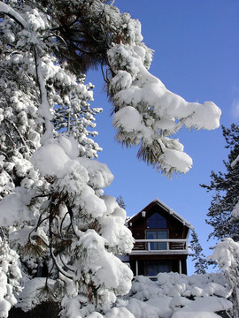 雪地里的小屋
