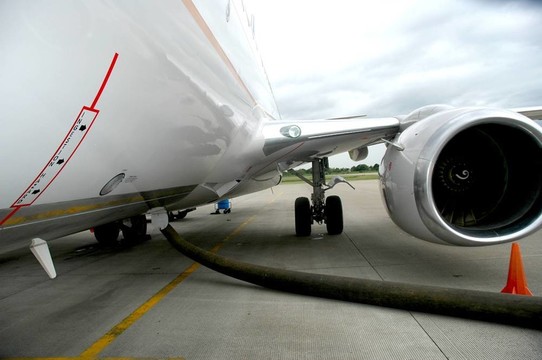 737攝食區(qū)。