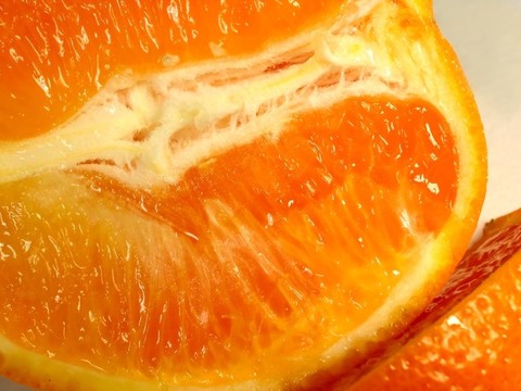 橘子