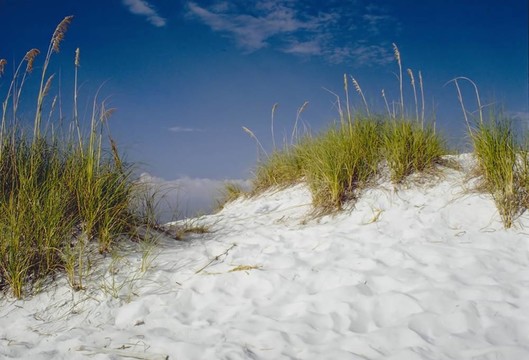 草和Beach