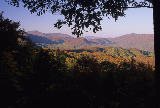 大煙山秋；