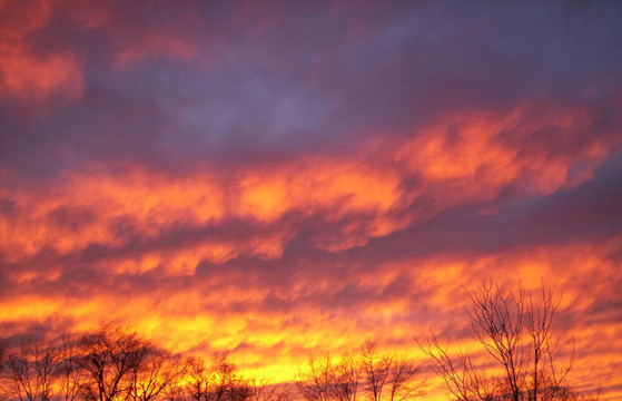 sunset2