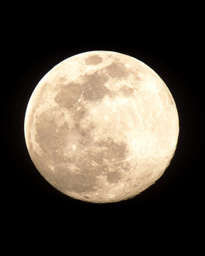 全Moon