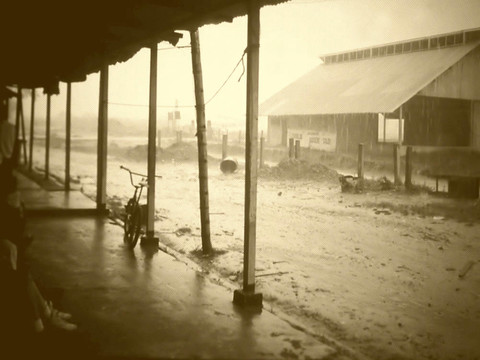 亞馬遜雨林