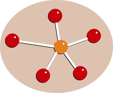 分子