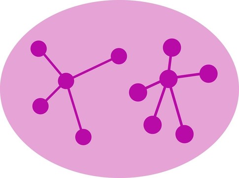 分子