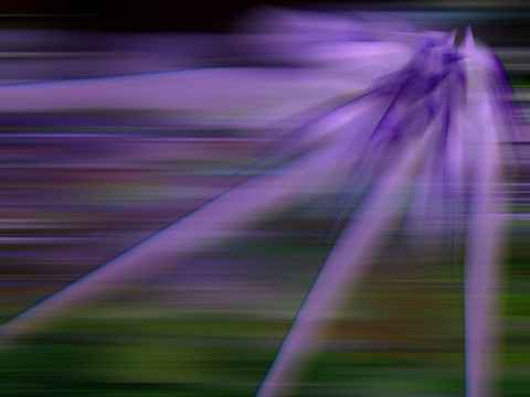 摘要紫燈